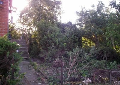 Beskæring af totalt nyt haveanlæg i en gammel have